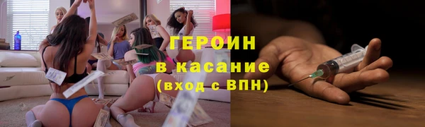 сатива Вяземский